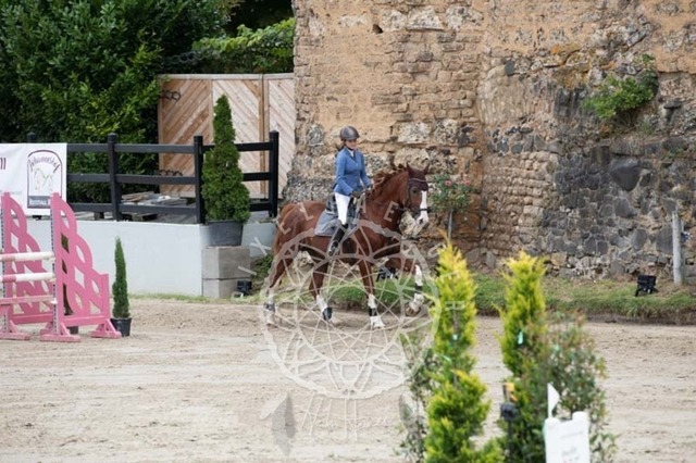 2B4A2340 | pixelfaenger - Realisiert mit Pictrs.com