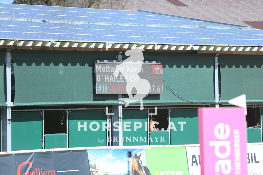 DL2Q0216 | Willkommen bei Brunnmayr - Design & Fotografie – Ihrem Spezialisten für Reitturniere und Pferdeveranstaltungen in Oberösterreich, Salzburg und Bayern! Seit über 17 Jahren sind wir leidenschaftlich dabei.