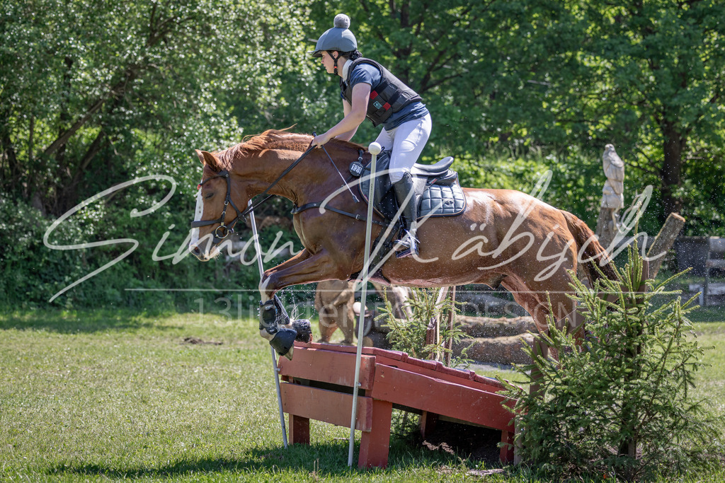 20260523-_3LI8048 | Tierfotografie Pferde, Hunde, Katzen, Haustiere.
Turnierfotografie Reitturniere, Reiten, Springreiten, Dressur in Hanau, dem Main-Kinzig-Kreis und dem Rhein-Main- Gebiet um Frankfurt
