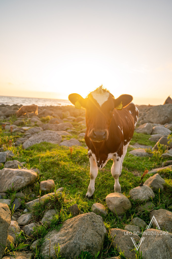 Fotografie_Leo_Schindzielorz_NO_Sommer_Shipsvrack_Arsland_20220803_A7R02747_org | Atmosphärische Landschaftsbilder & Drohnenaufnahmen aus dem Allgäu, Tirol, Südtirol & der Schweiz – ideal für Leinwanddrucke & zur stilvollen Raumgestaltung. - Realisiert mit Pictrs.com