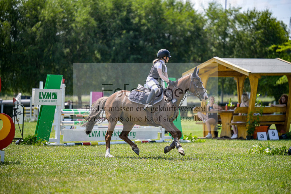 Reitturnier Voxtrup | Entdecke hochwertige Reitturnierfotos von Foto Oger. Professionell, emotional und authentisch – jetzt Lieblingsmomente im Shop bestellen.Deutschlandweite Turnierfotografie. - Realisiert mit Pictrs.com