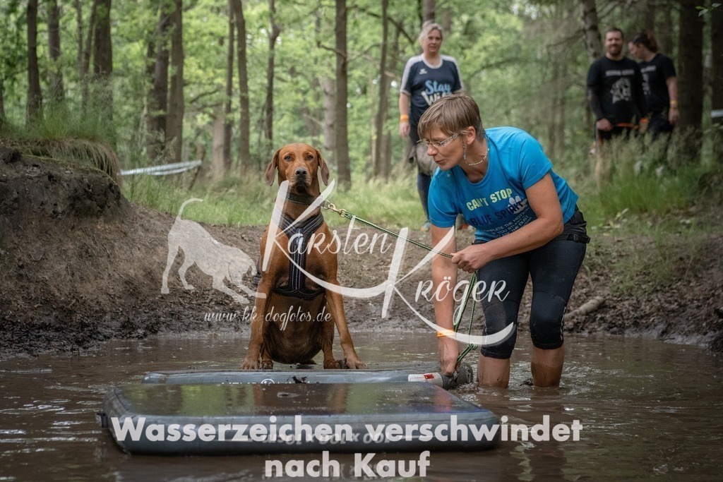 1256_ZZ91690T | kk-dogfotos