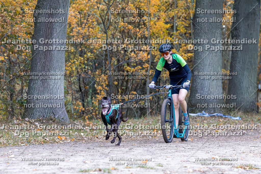 Dog Paparazzi - SD CaniX Championship 2025-166 | Dog Paparazzi Jeanette Grottendiek Fotografie & Videografie - Realisiert mit Pictrs.com