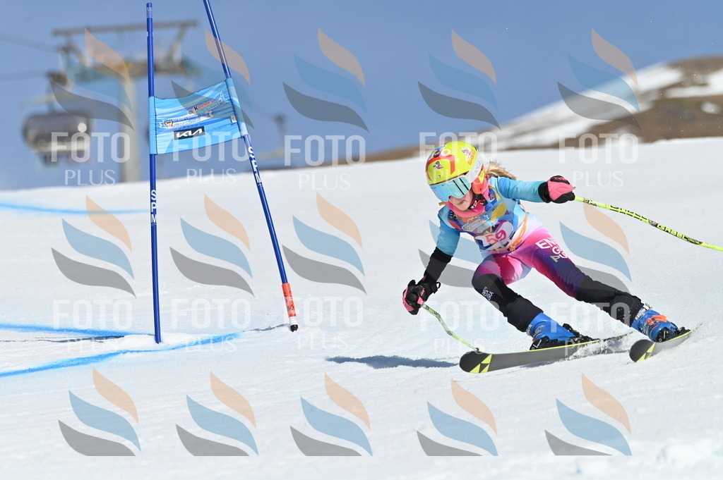 BGV_8711 | holidayphoto