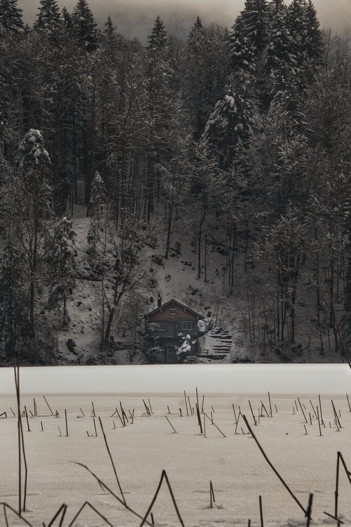 ZFC_3231_stack | Unvergessliche Erinnerungen in Bildern festgehalten! Ob Hochzeit, Shooting oder Landschaft  - Ich bin dein Fotograf in Erfurt und Umgebung! Photo-Rauch | Sandro Rauch - Realisiert mit Pictrs.com