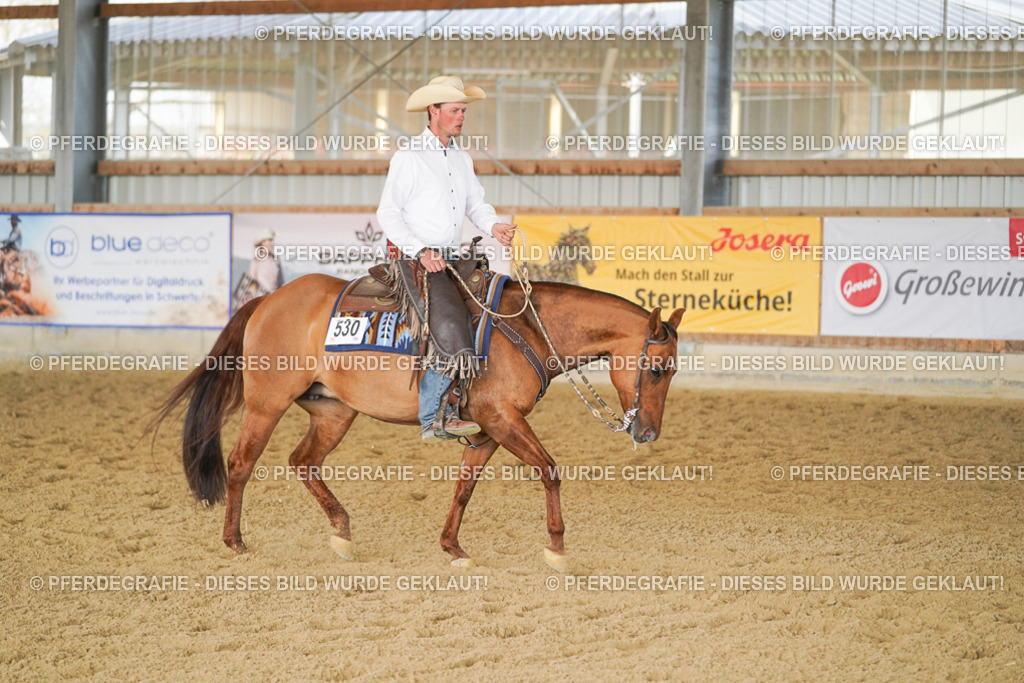 DSC00765 | Pferdegrafie