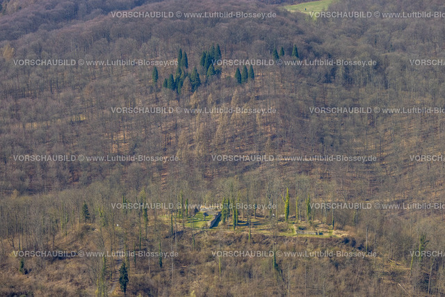 HB-Arnsberg220302068 | Luftbild, Rüdenburg im Waldgebiet in Arnsberg, Sauerland, Nordrhein-Westfalen, Deutschland