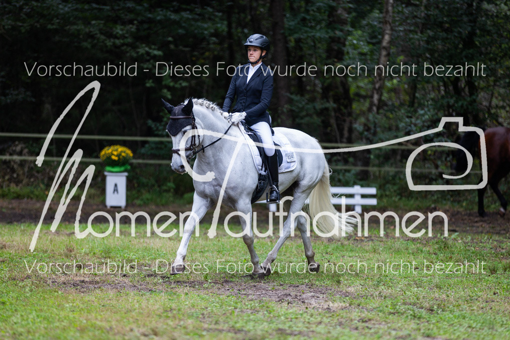 HB-A-Dressur-086 | MomenTaufnahmen Pferdesportfotos