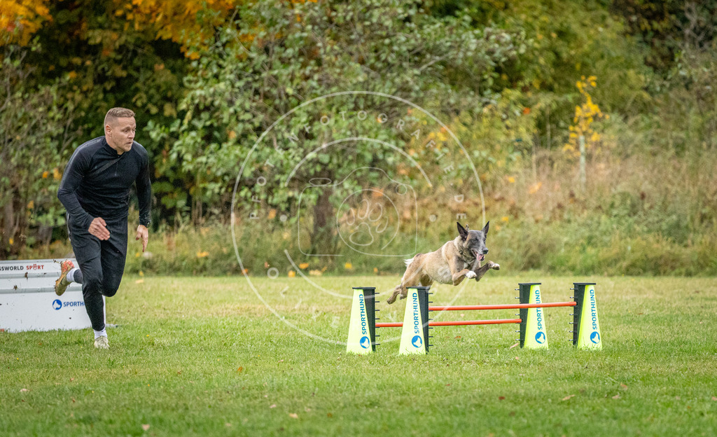 Pfotenfotografie_DV3A1008 | Hundefotografie, Tierfotograf, Pfotenfotografie, Fotoshooting Hund, Hunde Portrait, Hundesport, Hundeportraits, Heideshooting, Hunde, Sportfotograf, Hundefotograf, Turnierhundsport, THS,  - Realisiert mit Pictrs.com
