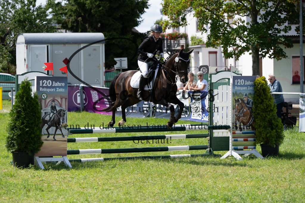 A7V04338 | Pferdefotograf