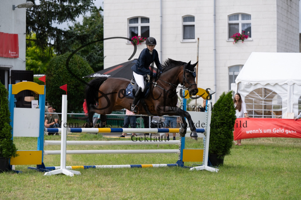 A7V05288 | Pferdefotograf