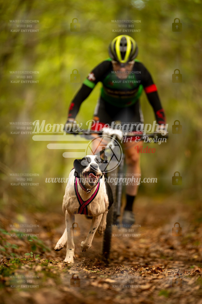 TSB_2023_E1_Bike-38 | PayLife