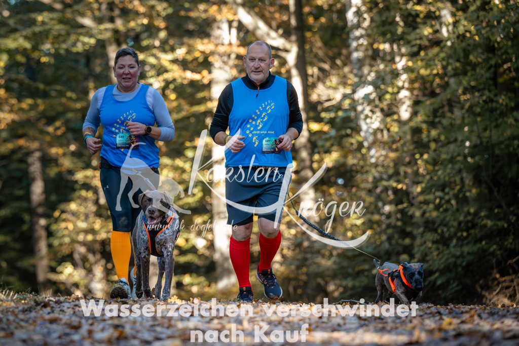 1016_ZZ99538 | kk-dogfotos