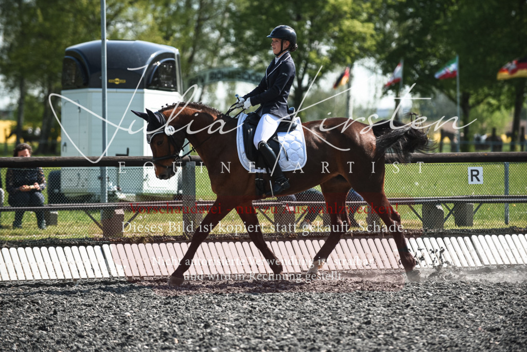 DSC_8886 | Pferde- und Turnierfotografie in Westsachsen. Pferdeportraits, Auftragszeichnungen und intuitive Kunst.