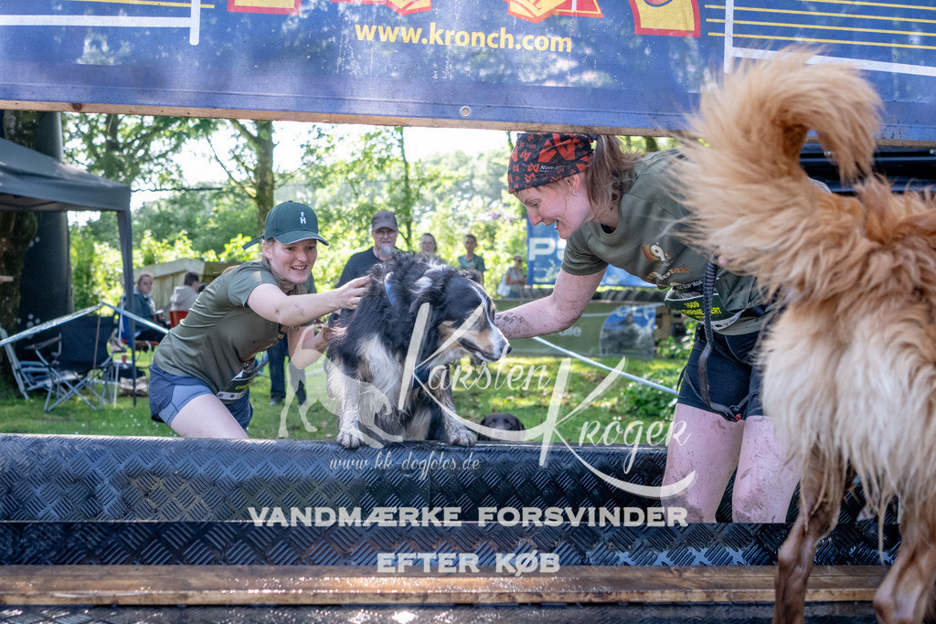 1539_ZZ92544 | kk-dogfotos