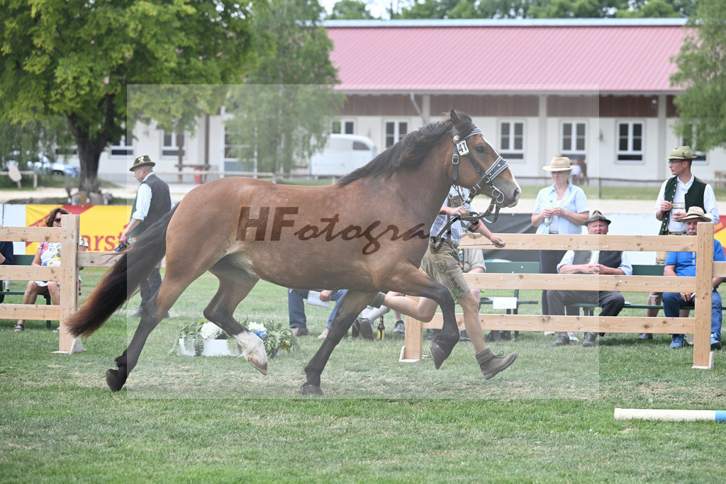 Kat-Nr. 41 Halla_Fritzmeier_20230635 | hf-fotografie - Realisiert mit Pictrs.com