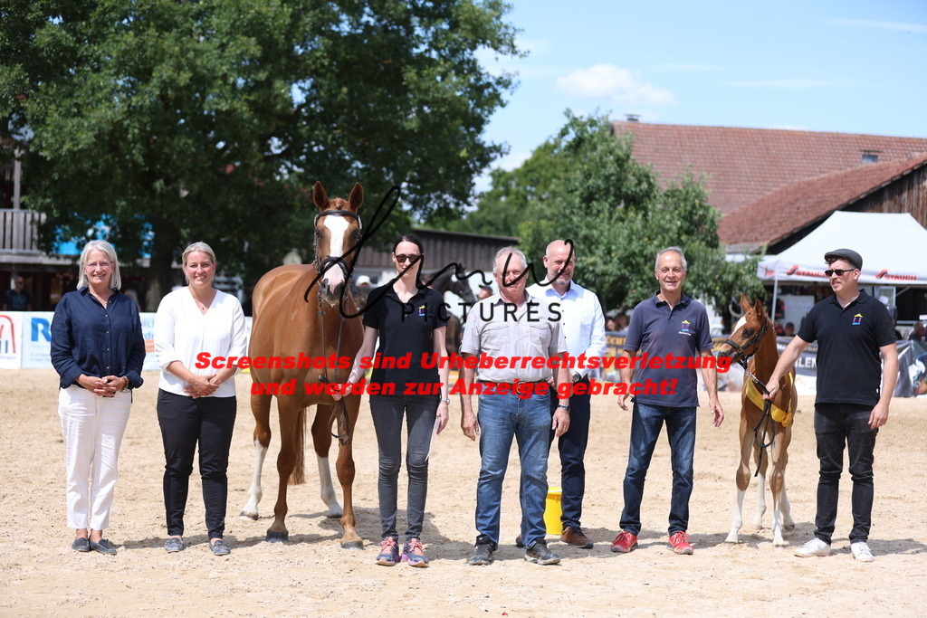 Fohlenschau_Schwäbisch_Hall_springbetonte_Fohlen_SIEGERFOHLEN_KN 22_8 | lmwpictures - Realisiert mit Pictrs.com