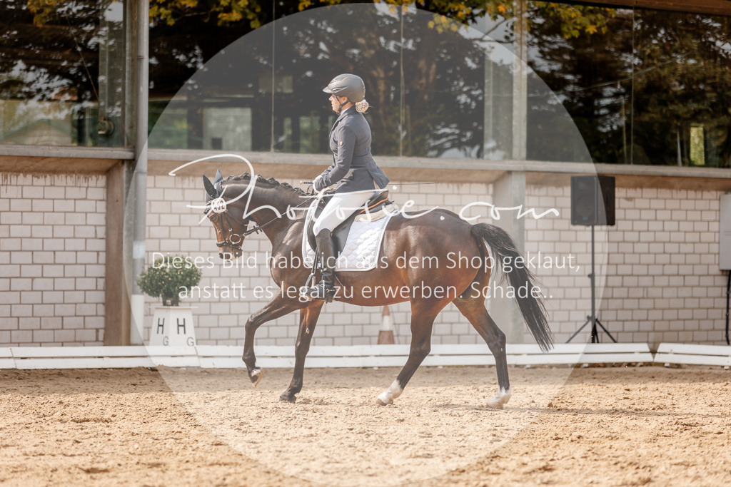 3I6A4401 | Stimmungsvolle Portraits und Reitsportfotografie im Ruhrgebiet und im Münsterland.

Pferdefotografie, Hundefotografie, Tierfotografie, Reportagen, Portraits von Tier und Mensch, Turnierfotografie in Bochum, Recklinghausen, Marl, Haltern am See, Dülmen.. - Realisiert mit Pictrs.com