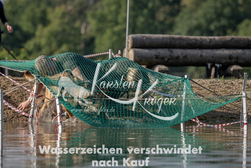1128_ZZ93079 | kk-dogfotos