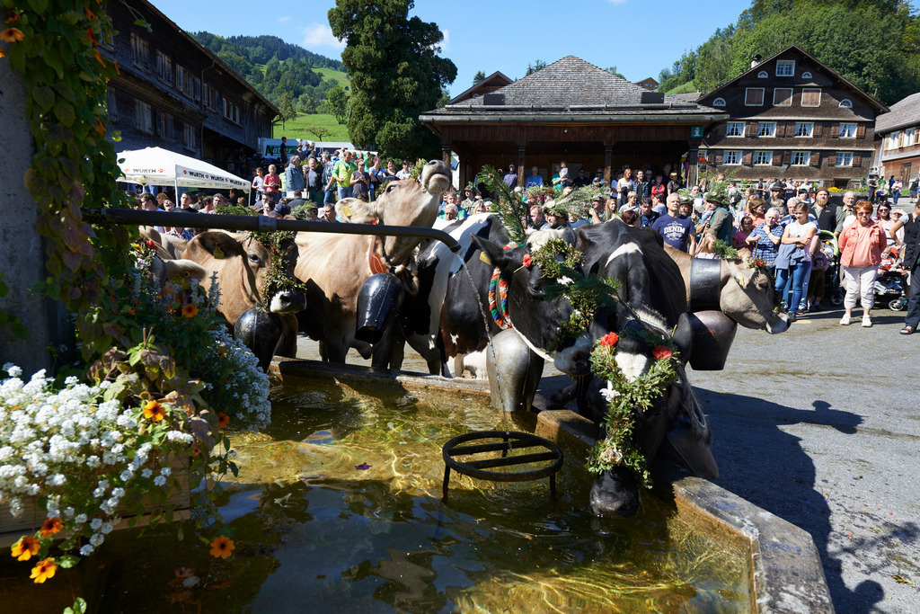 Alptag in Schwarzenberg | Schwarzenberg, Austria - September 08, 2015: Alptag in Schwarzenberg. - Realisiert mit Pictrs.com