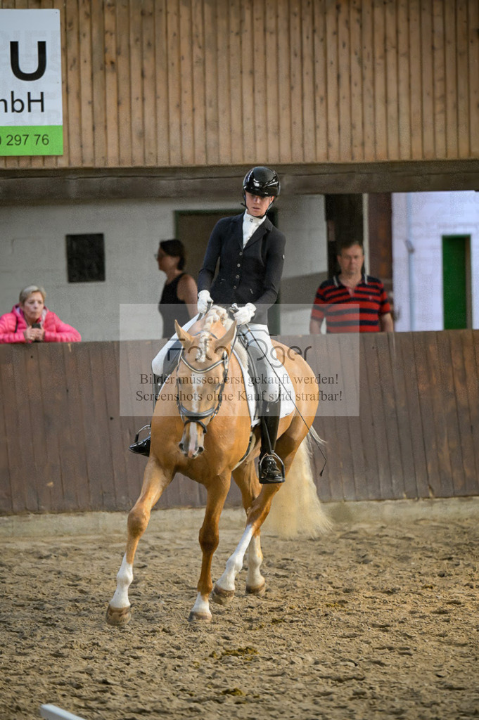 Reitturnier Voxtrup | Entdecke hochwertige Reitturnierfotos von Foto Oger. Professionell, emotional und authentisch – jetzt Lieblingsmomente im Shop bestellen.Deutschlandweite Turnierfotografie. - Realisiert mit Pictrs.com
