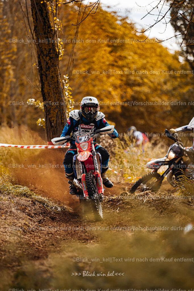 E68A2307 | blick_win_kel