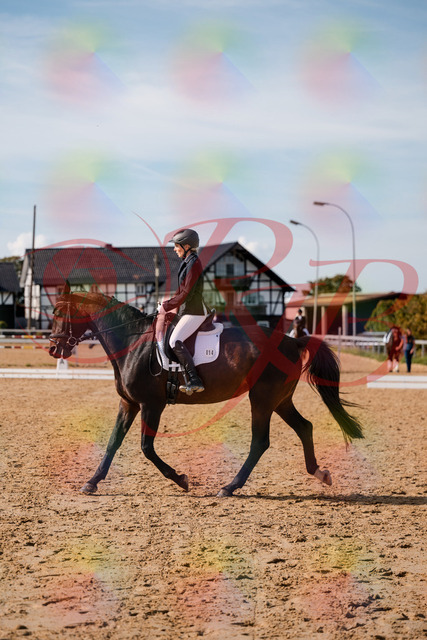 2026_10_03_Siefer-Hof_133502_Z63_93943618 | Professionelle Reitsport-, Turnier- und Eventfotografie von Robert Broda. Galerien mit ausgewählten und bearbeiteten Bildern direkt online ansehen und bestellen.
