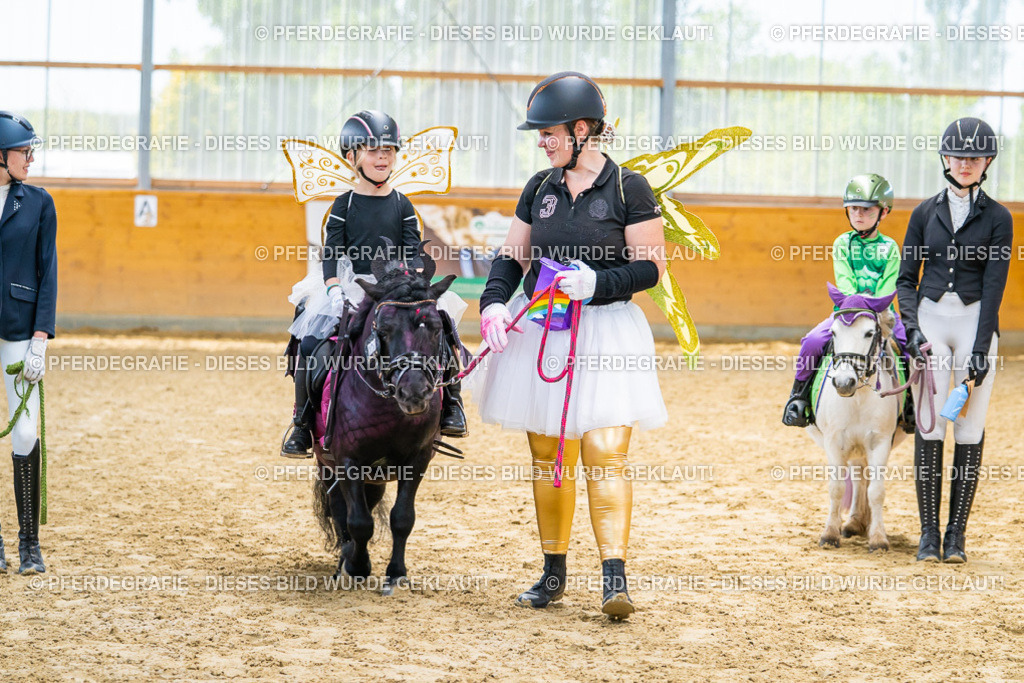 DSC00301 | Pferdegrafie