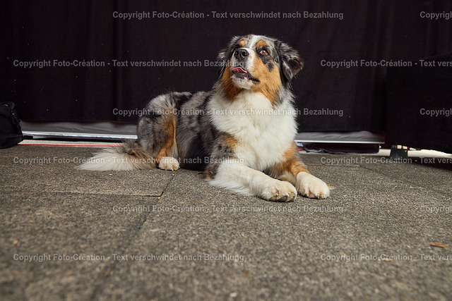 30.08.25 HSW Luzern Samstag0786 | foto-création - Realisiert mit Pictrs.com