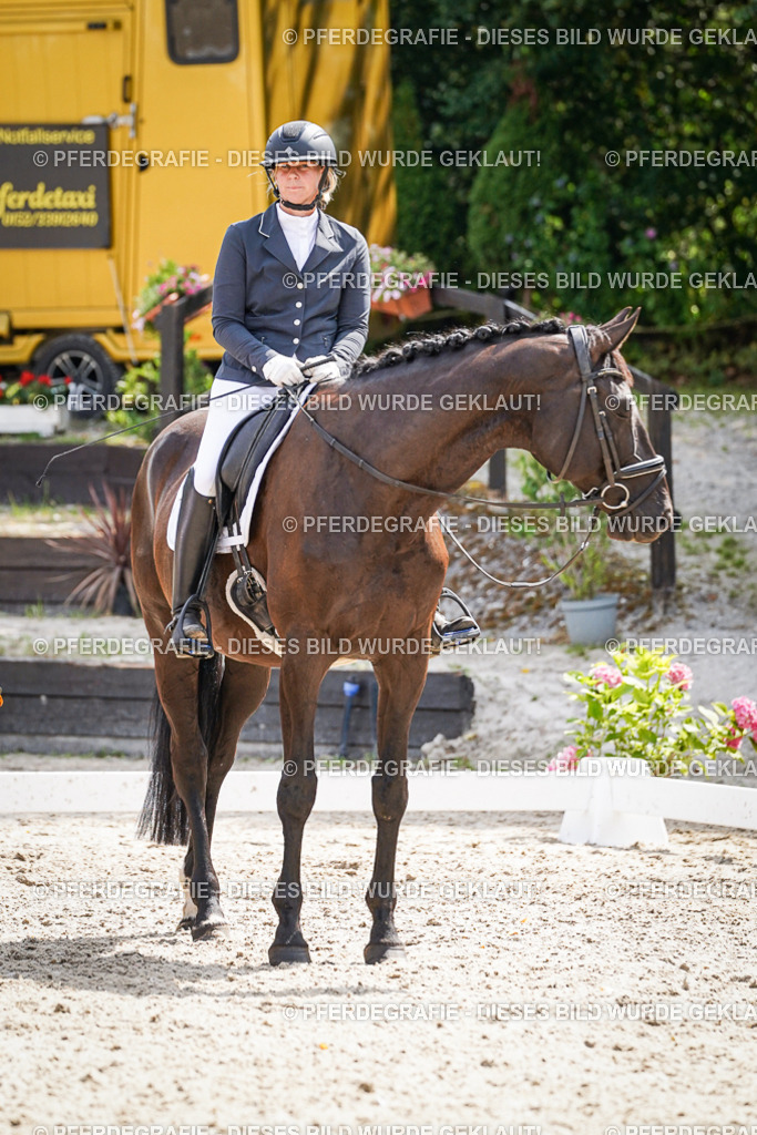 DSC02222 | Pferdegrafie