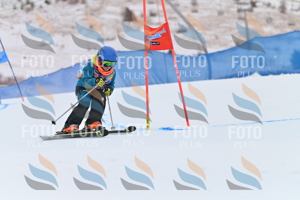 BGV_2406 | holidayphoto