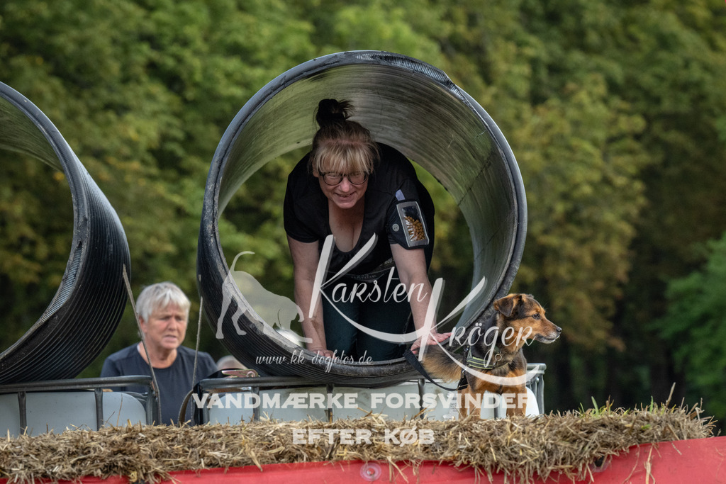 1059_ZZ93472 | kk-dogfotos
