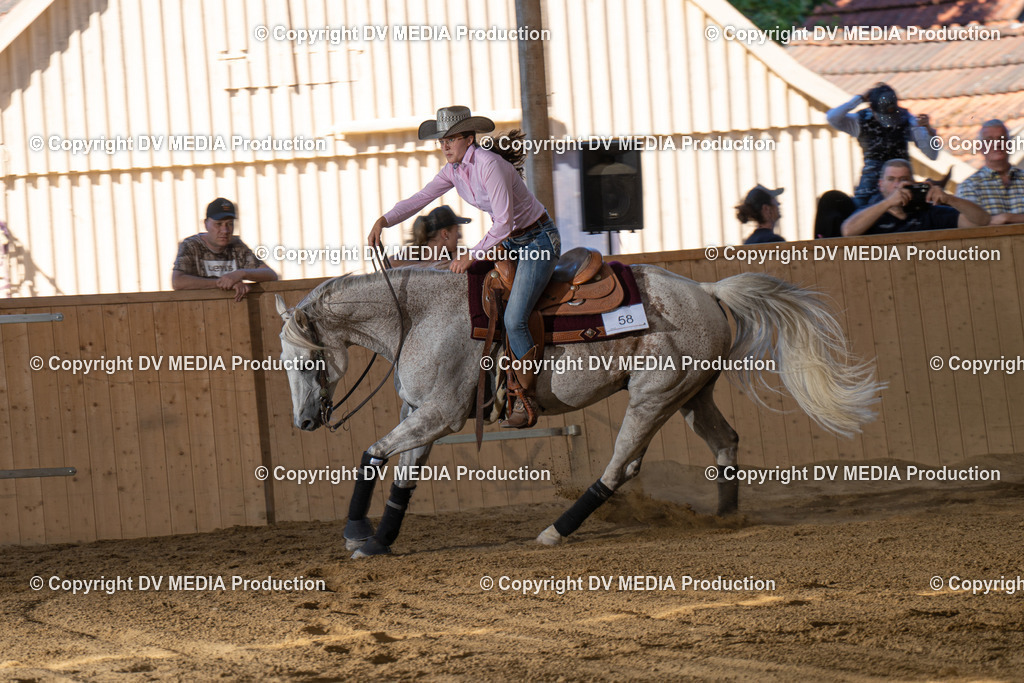 DSC00514 | dv-media-shop - Realisiert mit Pictrs.com