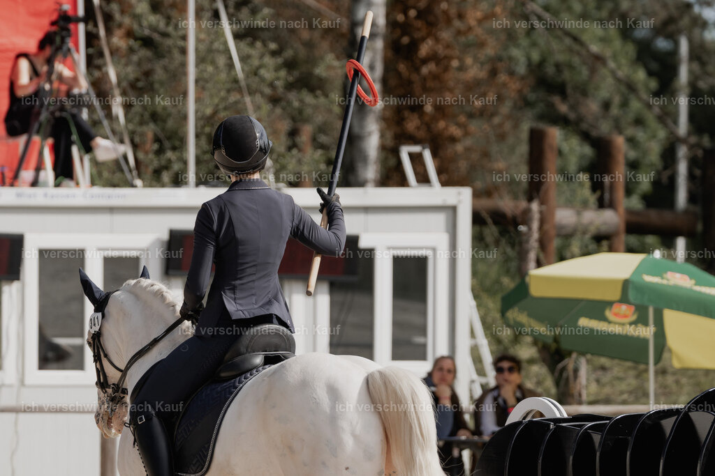 WE_ST_Stoib_341_PI2025_904 | Pferd International München 2025