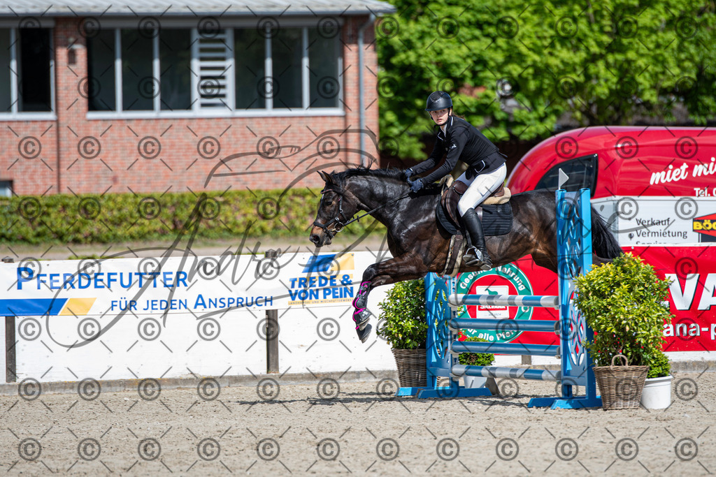 KPT_4962 | andre_photographic