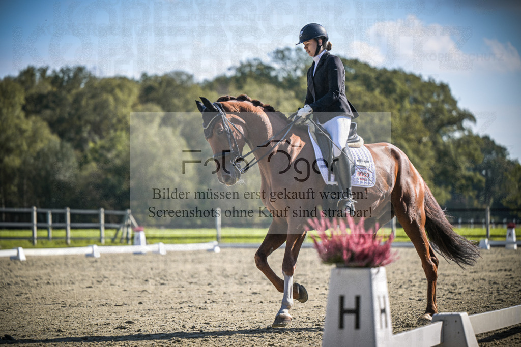 DOS_3268 | Entdecke hochwertige Reitturnierfotos von Foto Oger. Professionell, emotional und authentisch – jetzt Lieblingsmomente im Shop bestellen.Deutschlandweite Turnierfotografie. - Realisiert mit Pictrs.com