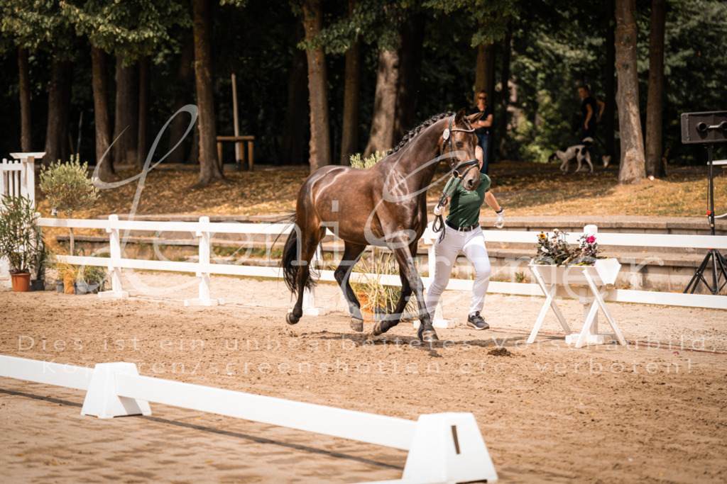 3.Fr00011 | Leoni Ertmer Photography - Realisiert mit Pictrs.com