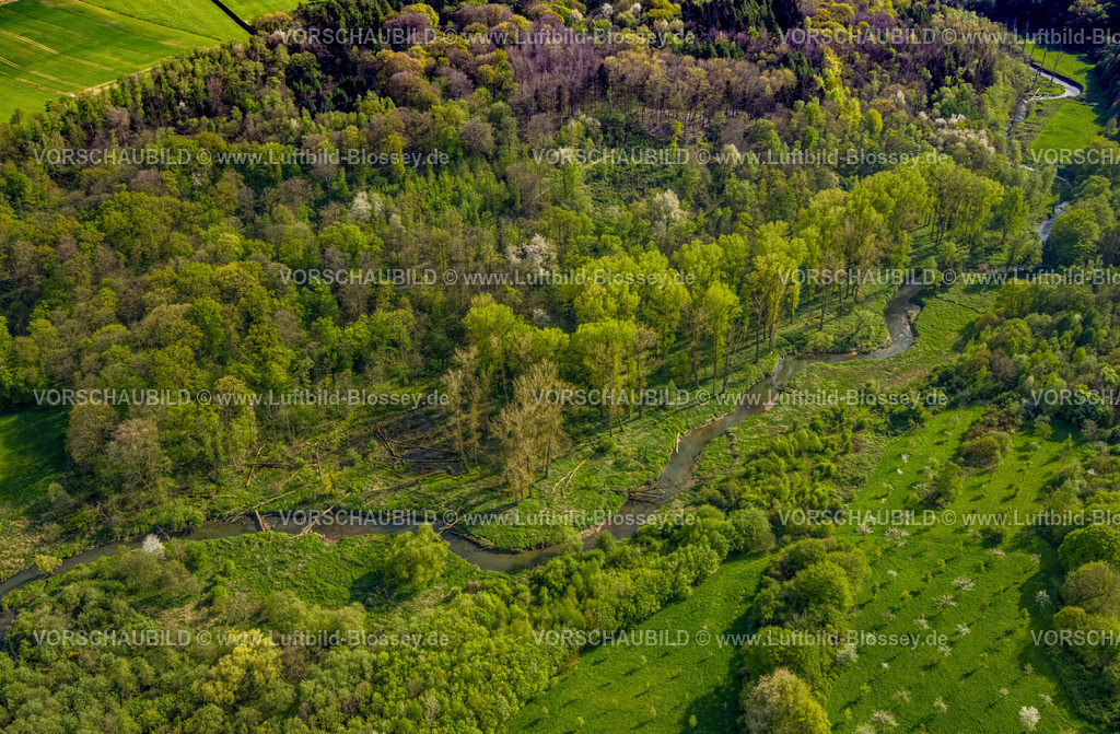 Wuerselen240403285Wurmtal | Luftbild Blossey Luftbilder NRW Deutschland