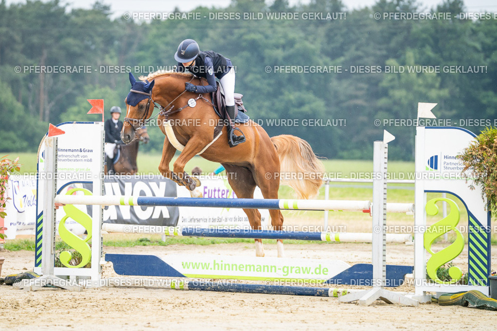 DSC00426 | Pferdegrafie