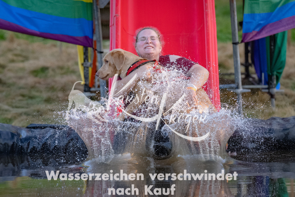 1915_ZZ92395 | kk-dogfotos