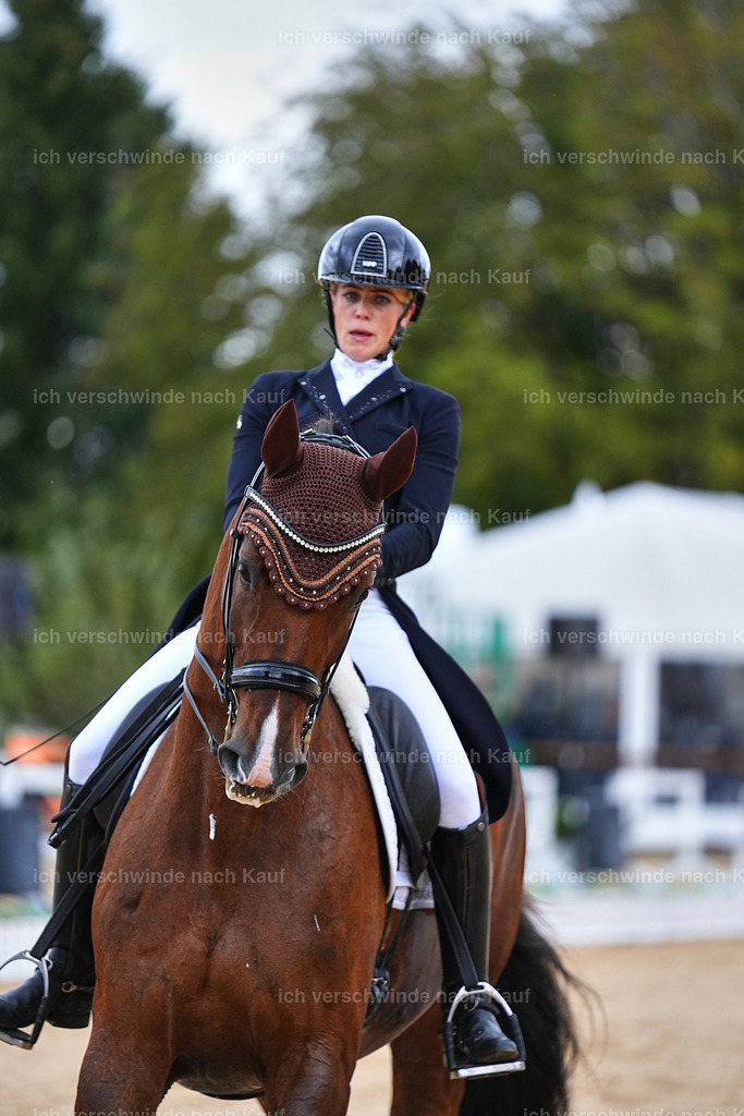 8_1-085-Klasse S_  -Marixx-4092 | working equitationturnier fotograf videograf stoibphotography marixx film working equitation deutschland reitsport turnierfotografie eventfotografie equestrian events
