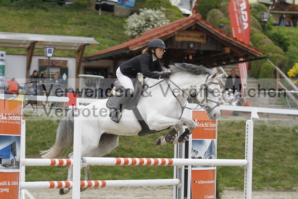 _MG_3077 | equestrian-live-com