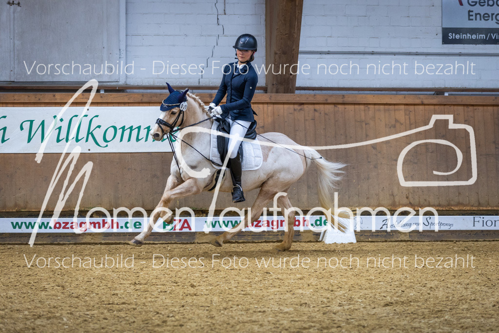 _M2A1666 | MomenTaufnahmen Pferdesportfotos