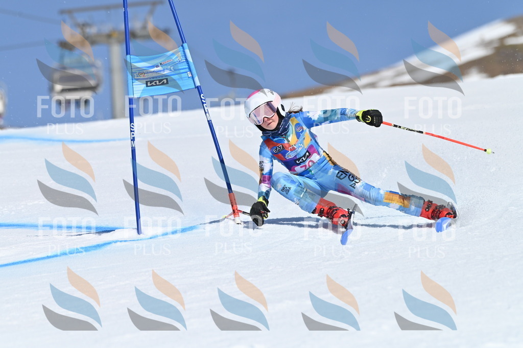 BGV_8904 | holidayphoto