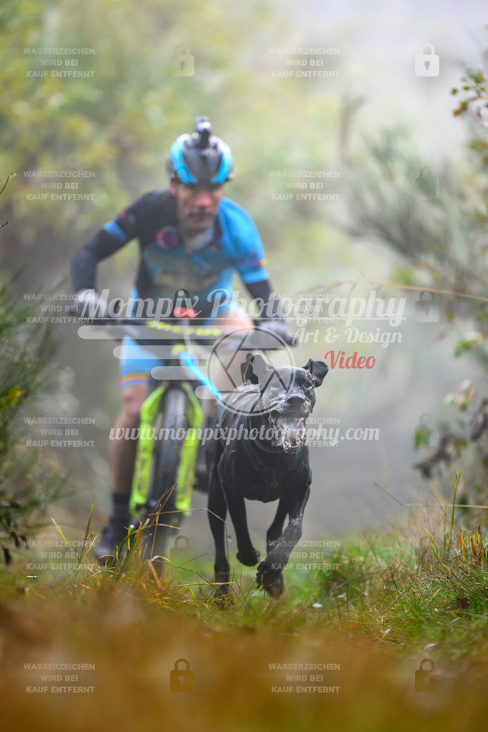 MompixPhotography_20TSB_E4_Bike-20 | PayLife