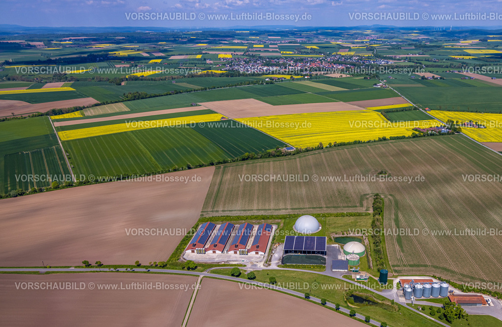 Borgentreich240505087GutDinkelburg | Luftbild, Biogasanlage und landwirtschaftlicher Betrieb mit Solardach, Gutsverwaltung Gut Dinkelburg Graf von Westphalen, Fernsicht blauer Himmel und kachelförmige Wiesen und Felder, Dinkelburg, Borgentreich, Ostwestfalen, Nordrhein-Westfalen, Deutschland