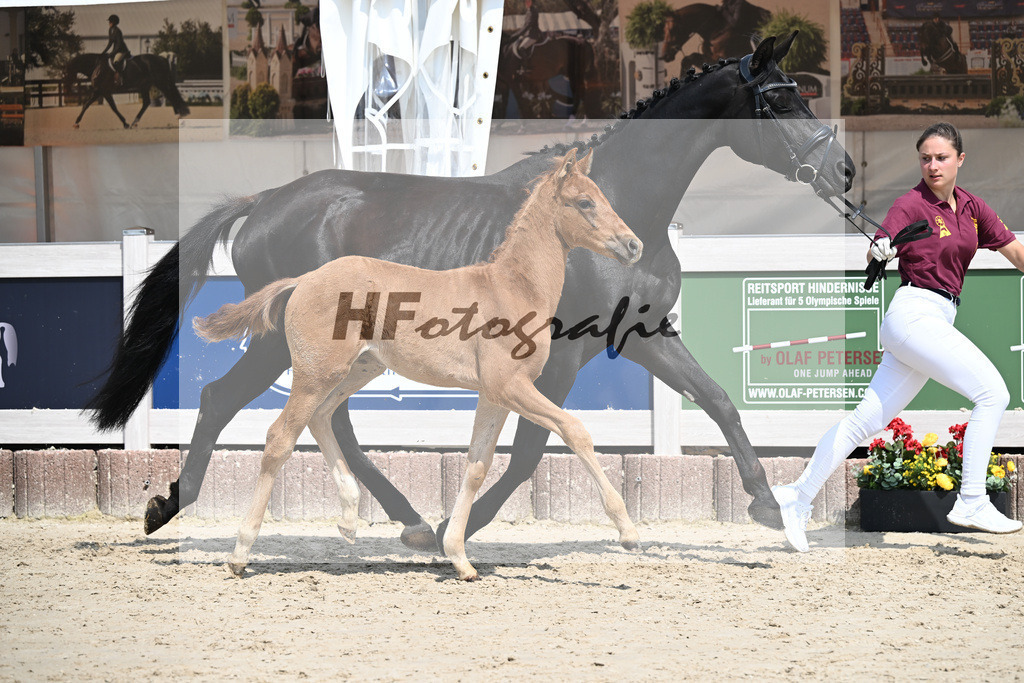 Viva Vegas x Top Gear_HF_Leder_12250464 | hf-fotografie - Realisiert mit Pictrs.com