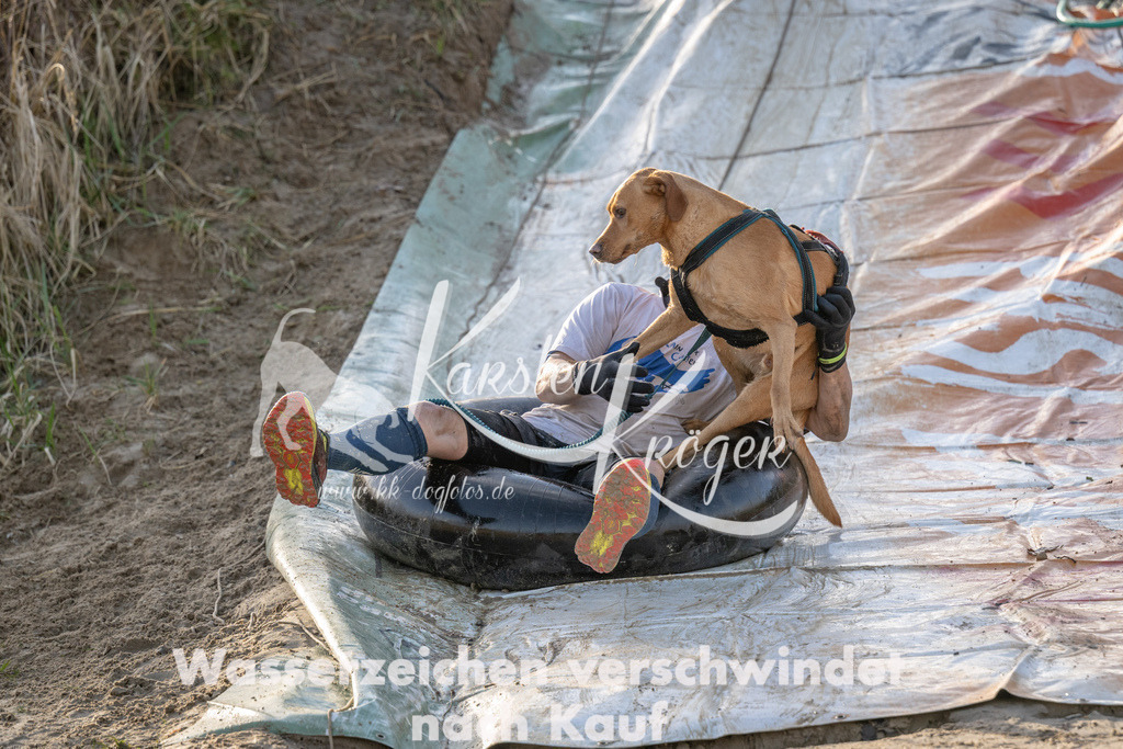 1635_ZZ92826 | kk-dogfotos