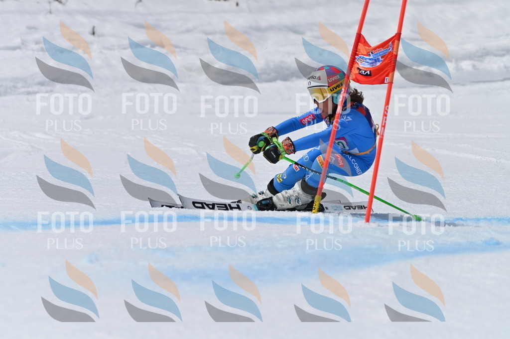 BGV_7125 | holidayphoto