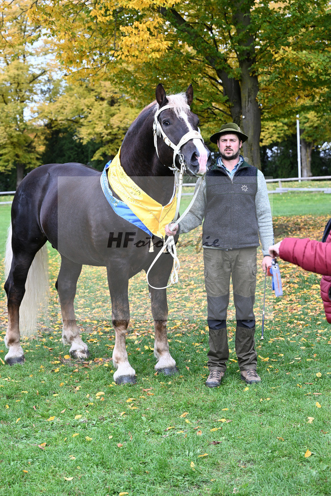 Kat-Nr. 6 Steinbach von Burggen v. Sixtus_Schleich_41251855 | hf-fotografie - Realizzato con Pictrs.com